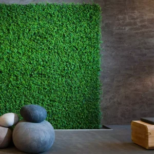 دیوار گرین وال | دکوراسیون داخلی آریا پود